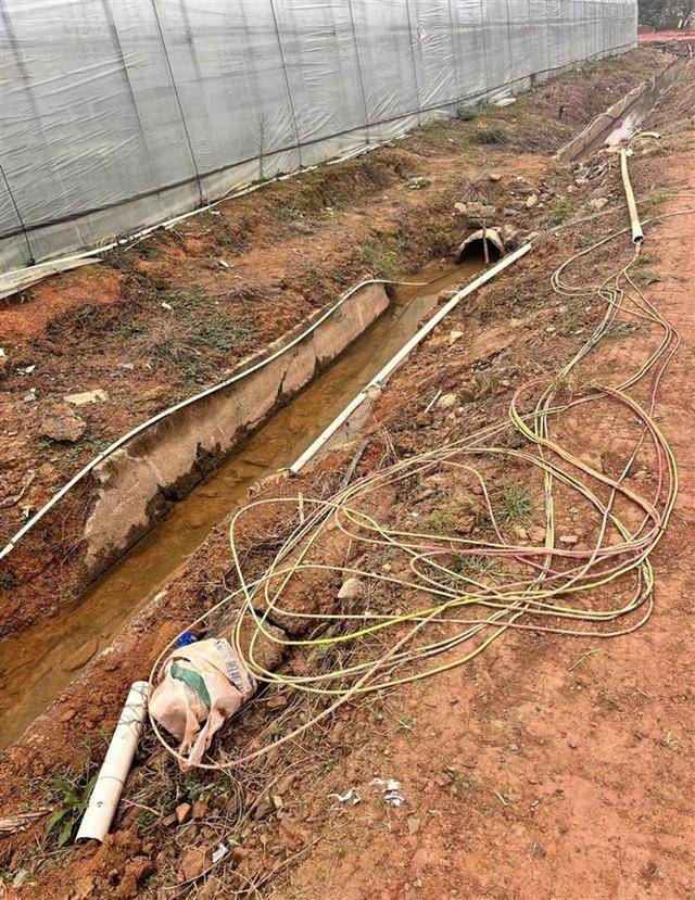 皇冠信用网注册_长沙一男子在辣椒基地遭电击身亡皇冠信用网注册，官方：属意外，正协调善后