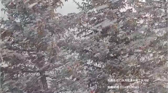 怎么注册皇冠信用網_北京真的下雪了！这里大雪纷飞怎么注册皇冠信用網，最新消息