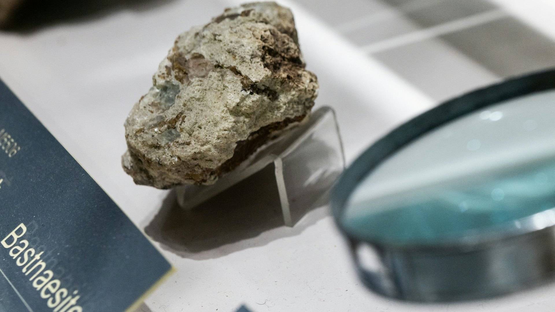 足球欧洲杯盘口 _高市早苗叫嚣足球欧洲杯盘口 ，决不容许中国出口制裁，赌国运还是被逼下台二选一